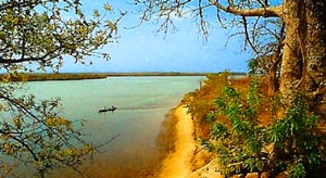 セネガル風景