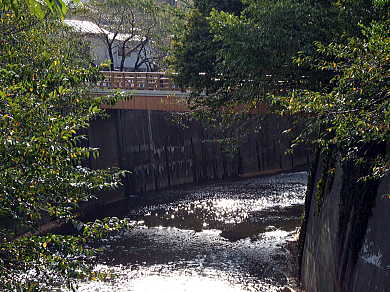 石神井川と板橋