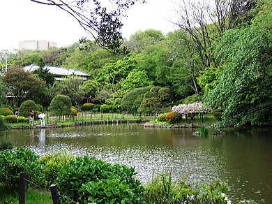 新江戸川公園の日本庭園