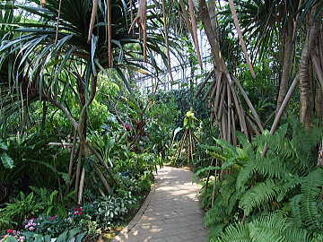 熱帯植物館内