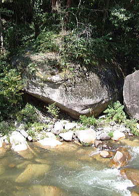 ハマグリ石