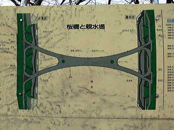 X字型をした桜橋