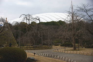 庭園内より東京ドームを望む