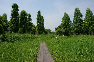川口自然公園