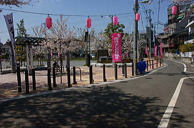 ここにも桜の公園が