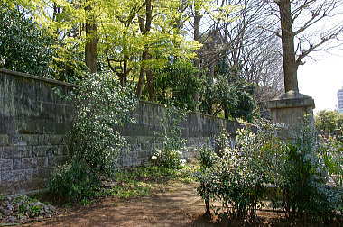 岩崎家墓所との境界