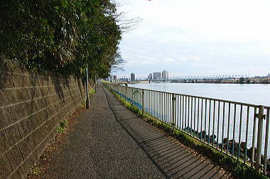 江戸川沿いに歩く